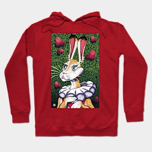 June the Hare Hoodie